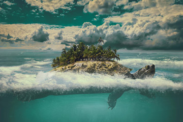tropical moving island in the sea - obrazy, fototapety, plakaty