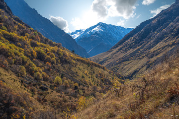  mountains of the Caucasus.