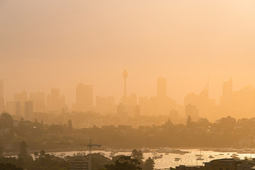 Fototapeta na wymiar Foggy Sydney skyline under the warm sunlight.