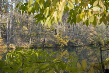 Lake in the autumn forest. Forest lake in the autumn forest. Autumn landscape with a lake and forest.
