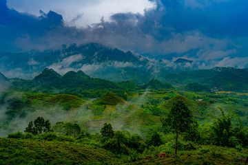 Mu Cang Chai, landscape terraced rice field near Sapa, northern Vietnam