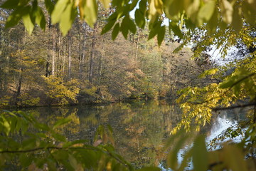 Lake in the autumn forest. Forest lake in the autumn forest. Autumn landscape with a lake and forest.