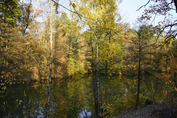 Lake in the autumn forest. Forest lake in the autumn forest. Autumn landscape with a lake and forest.