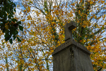 A memorial with broken cross in Bohnice cemetery 