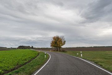 Fototapeta premium Baden-Wuerttemberg nature and Agriculture. Countryside near Waldhausen.