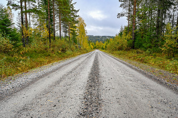 gravel road through forest in Varmland Sweden