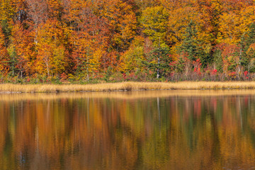 Towada Hachimantai National Park in autumn