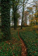 Old and abandoned Bohnice cemetery, urbex in Prague 