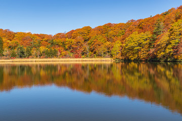 Towada Hachimantai National Park in autumn