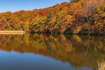 Towada Hachimantai National Park in autumn