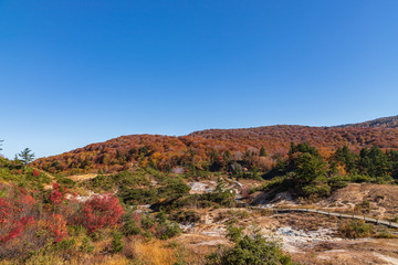 Fototapeta na wymiar Towada Hachimantai National Park in autumn