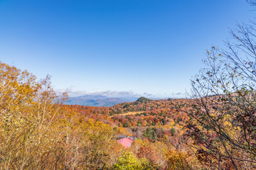 Fototapeta premium Towada Hachimantai National Park in autumn