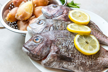Red snapper fishes with lemon slices.