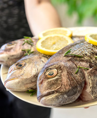 Fresh sea bream fishes on a plate.