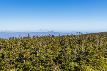 Fototapeta premium Towada Hachimantai National Park in autumn