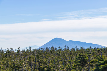 Fototapeta premium Towada Hachimantai National Park in autumn
