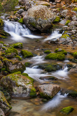 Fototapeta na wymiar Green creek (High Tatra, Slovakia)