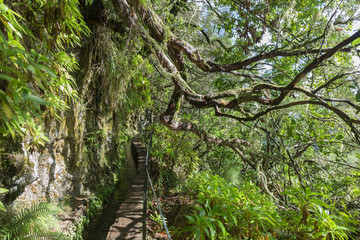 View of nature surrounding 