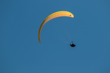 Paragliders above south moravia, Pálava, czech republic
