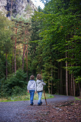 Fototapeta premium Children, brothers, hiking in forest on autumn day, walking and trekking