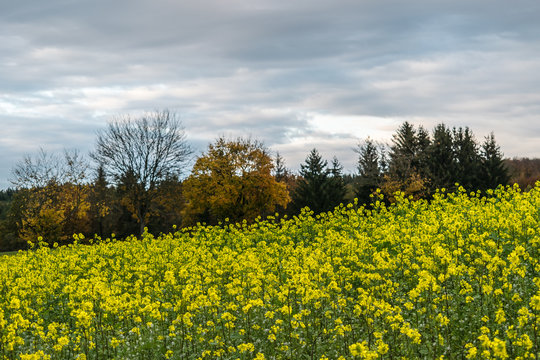 Baden-Wuerttemberg nature and Agriculture. Countryside near Elchingen at Neresheim.