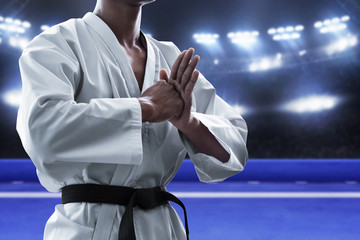 Karate martial arts fighter in arena © fotokitas