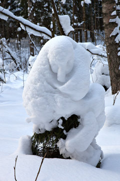 .Natural snowdrift like a snowman or a freezing waiting person in winter forest
