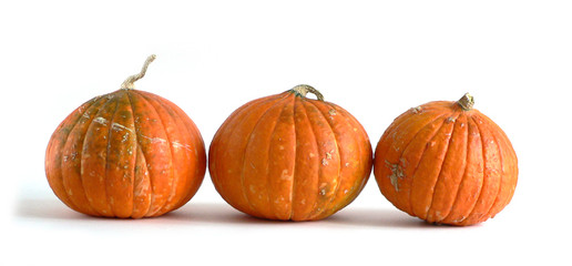 Harvest of three pumpkins on white background.