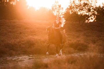 Dressurreiterin trabt mit ihrem Pony im Mitteltrab ohne Sattel durch die Heide