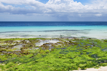 Kendwa ocean shore, Zanzibar scenery, Tanzania, Africa