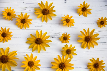 yellow flowers on a wooden light background