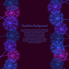 Frame of dandelions similar to fireworks. Macro illustration of a dandelion. Floral vintage border for text on a dark purple background. Bright design for postcards, posters, presentations. 