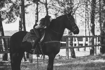 Rider elegant woman talking to her horse. Portrait of riding horse with woman . Equestrian horse...