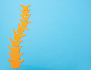 Spine on a blue background. The concept of spinal diseases, curvature of the spine and scoliosis,...
