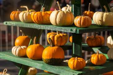 pumpkins and gourds