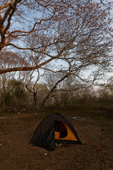 Kemping w Meksyku z żółtym namiotem