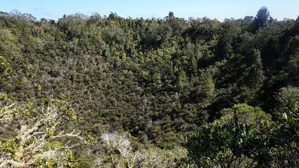 Fototapeta na wymiar Rangitoto Island (Scenic Reserve) nearby Auckland, in New Zealand