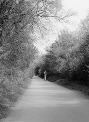 Obraz premium Middle aged woman seen walking alone on a footpath adjacent to a dense forest.