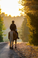 Woman horseback riding on country road