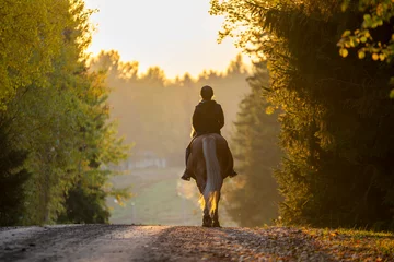 Rolgordijnen Woman horseback riding in sunset © citikka