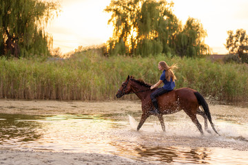 A young girl riding a horse on a shallow lake. A horse runs on water at sunset. Care and walk with...
