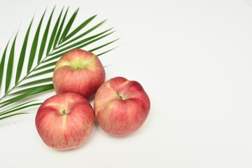 Studio shot of three apples on white background with areca palm leaf decoration.