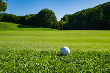 View of Golf Course with beautiful putting green. Golf course with a rich green turf beautiful scenery.
