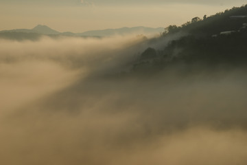 beatyful lanscape of DaLat, viet nam the sun and the pine hill in mist