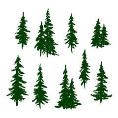 Green pine trees set for Christmas and New Year decoration. Vector - obrazy, fototapety, plakaty