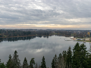 beautiful view of tree tops on lake in background