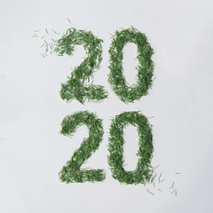 2020 made with Christmas tree pine needles. Trendy minimal New Year concept. Winter nature flat lay.