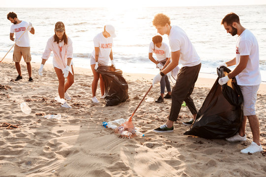 Image of acive voluntary workers cleaning beach from plastic at seashore