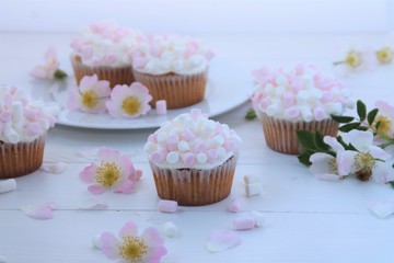 vanilla cupcakes with marshmallow pink 