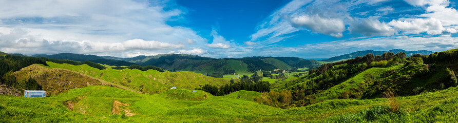 Hills of New Zealand